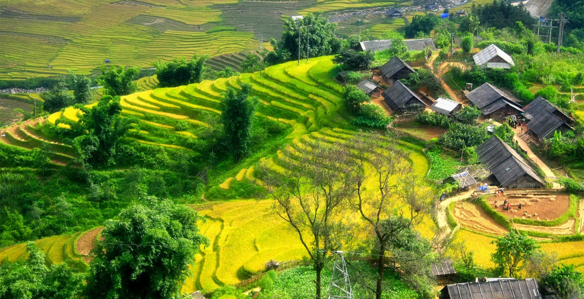 Sapa Trekking Tour with Bus